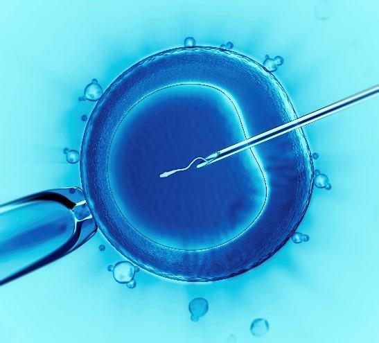 China In Vitro Fertilization (IVF) Market