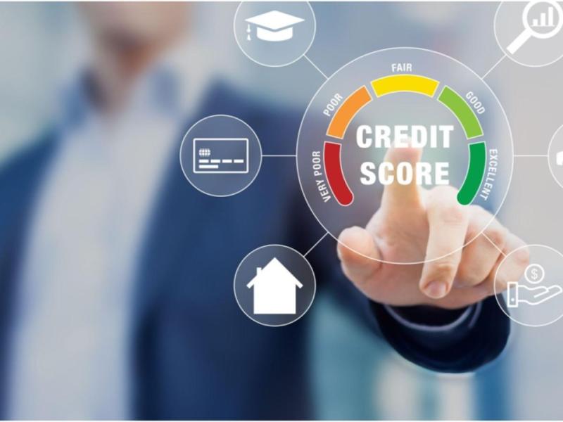 Credit Scores, Credit Reports, and Credit Check Services Market