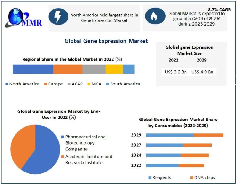 Gene Expression Market