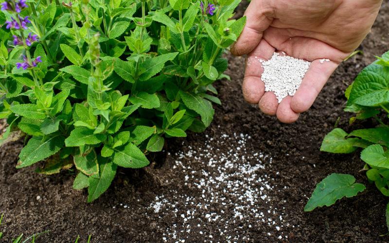 Brazil Fertilizers Market Report 2024: Industry Size, Share, Demand, Growth Drivers and Forecast till 2032