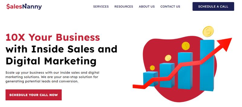 Business is Not Just Marketing! Sales Nanny Mastered the Art