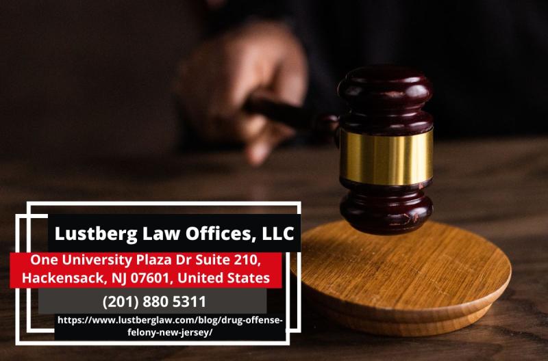 New Jersey Drug Crimes Lawyer Adam M. Lustberg Releases Crucial