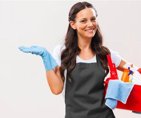 Cleaning services play a pivotal role in today's society, offering a valuable solution to the challenge of maintaining a clean and organized home amidst the demands of modern life.