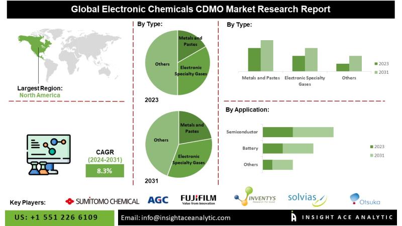 Electronic Chemicals CDMO Market