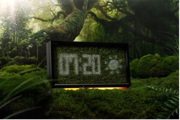Redefining Indoor Nature, Moss Echo Coming Soon to Kickstarter