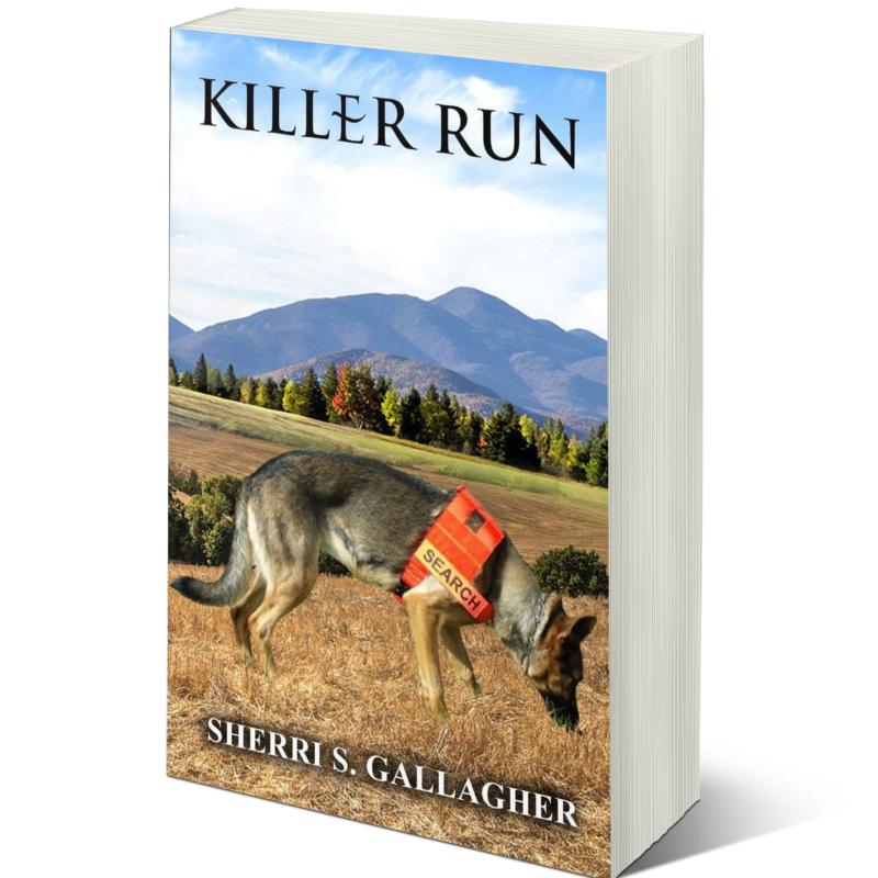 Killer Run by Sherri Gallagher: A Romance Spine-chilling Serial