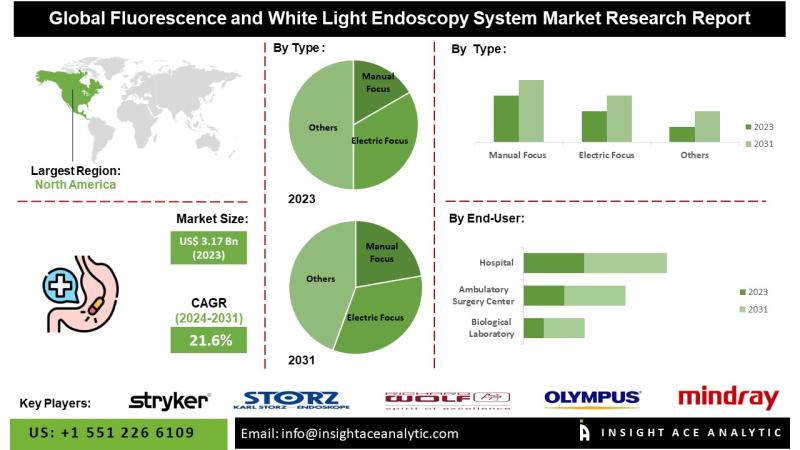 Fluorescence and White Light Endoscopy System Market