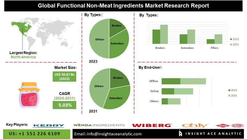 Functional Non-Meat Ingredients Market