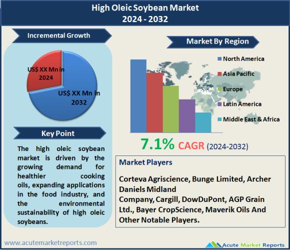 High Oleic Soybean Market Forecast Report 2032 | CAGR 7.1%