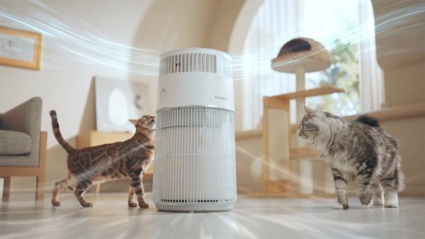 WISESKY Cat Air Purifier Is Designed To Make a Pet Parent's Life