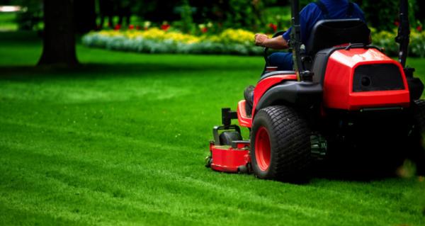 Bluescapes Lawn Care Unveils Premium Maintenance Packages