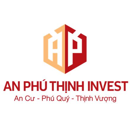 Anphuthinhinvest.vn Pioneering Excellence in Vietnam's Real