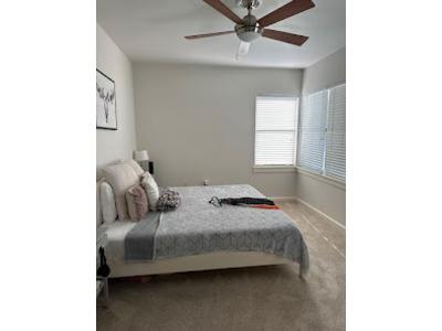 A neatly arranged bedroom cleaned by Tidy Hands Cleaners, featuring a made bed with a gray bedspread, decorative pillows, a nightstand with a lamp, and large windows with blinds letting in natural light. The room has a ceiling fan and beige carpet floorin