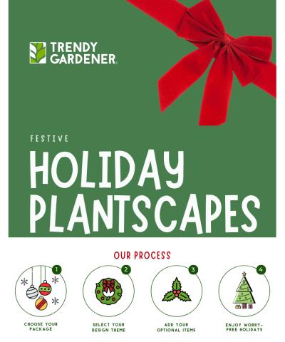 Trendy Gardener introduces plant design service for the holidays