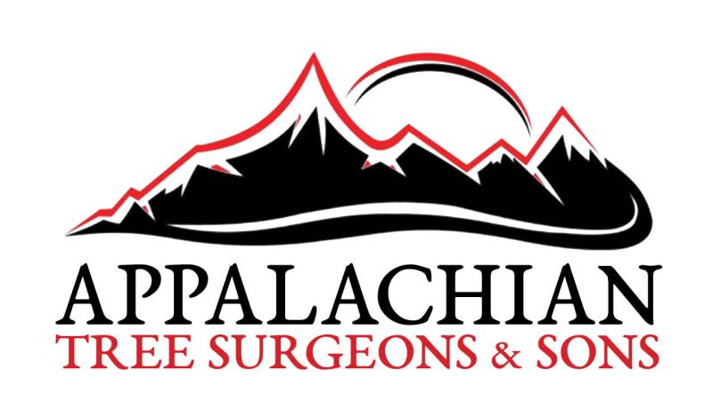 Appalachian Tree Surgeons & Sons launches comprehensive tree care offering