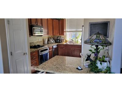 A modern kitchen with granite countertops, dark wood cabinets, and stainless steel appliances, featuring a stained-glass lamp and various plants on the kitchen island.