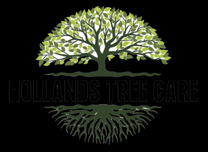 Hollands Tree Care Company expands premium tree care services