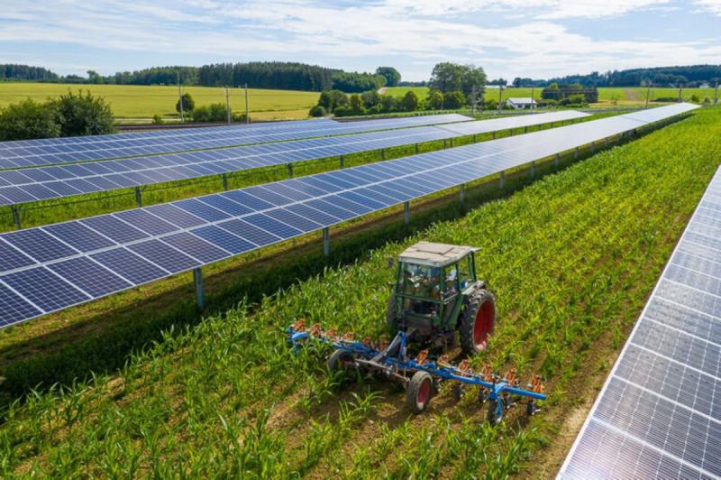 Single and double-axis substructures from STP Solar Tracker Polska Sp.z o. o for the agricultural sector