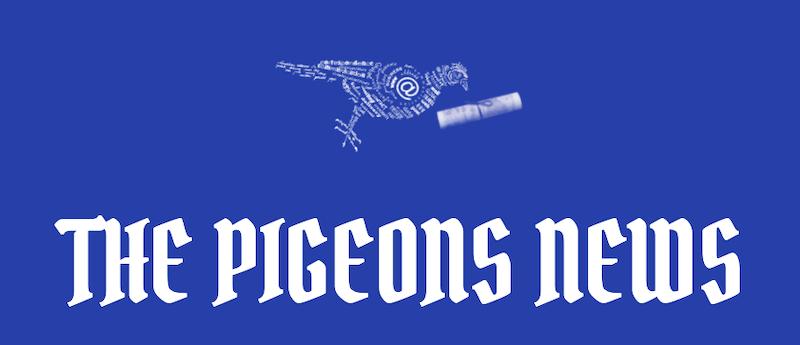 The Pigeons News Enters the Competitive Business & Finance News