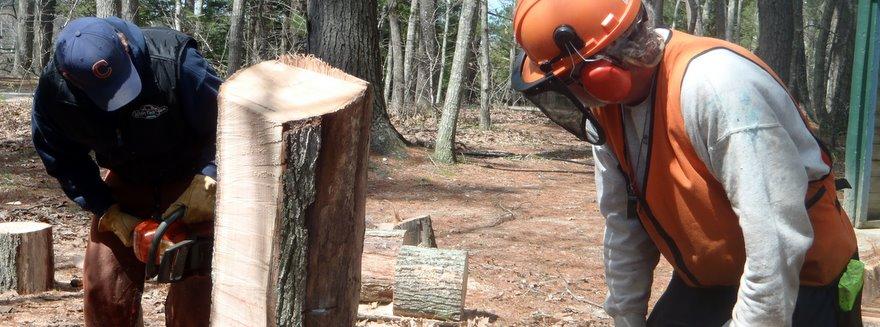 For Immediate Release: Chainsaw Safety Season