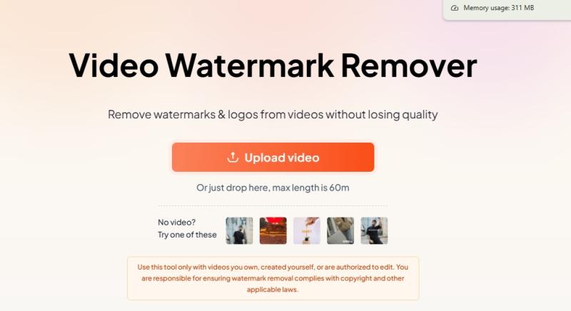 Video Watermark Remover web UI