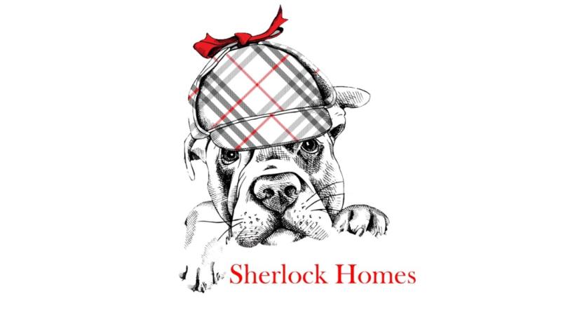 Leading Real Estate Agent in Castle Rock, CO Reports Surge in Buyer Interest as Denver Metro Market Conditions Favor Relocation