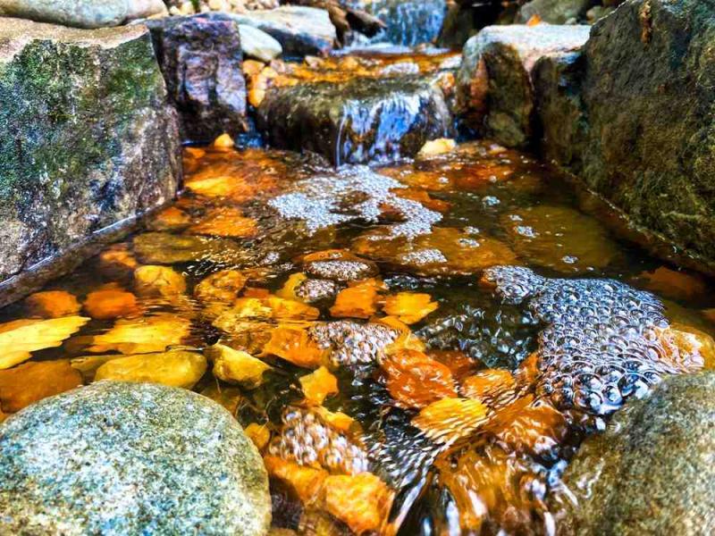 Jordan's Water Solutions Brings Tranquility to Richmond Backyards with Custom Koi Pond Designs