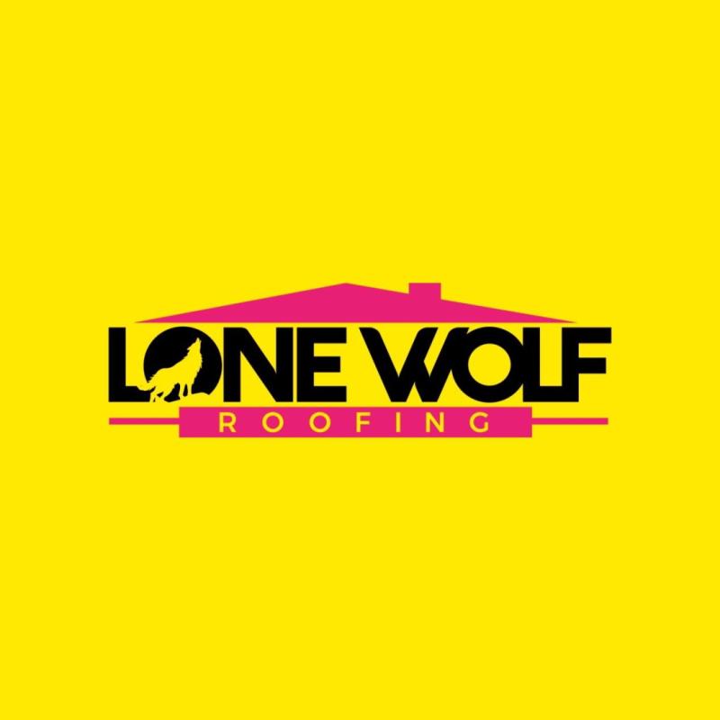 Lone Wolf Roofing Reviews: Meet the Best-Reviewed Roofing Service Provider in Louisiana