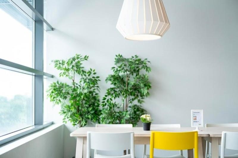 Living Together, Made Simple: How Shared Homes Are Redefining Modern Living in Greece