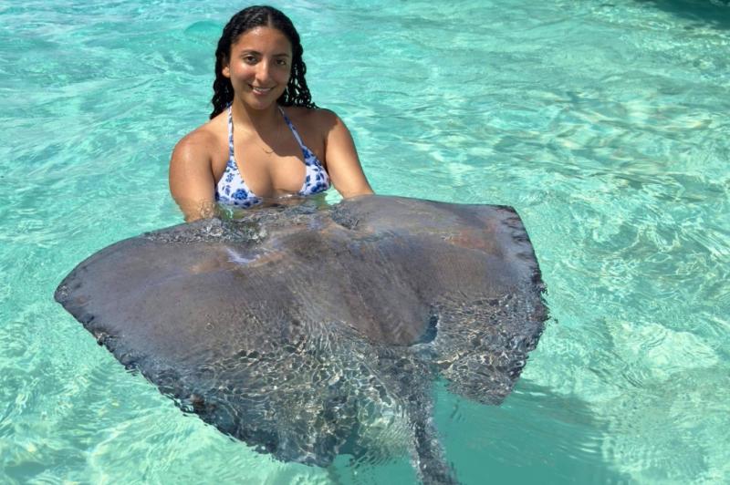 Boat tours to Stingraycity with Cayman Ocean Adventures