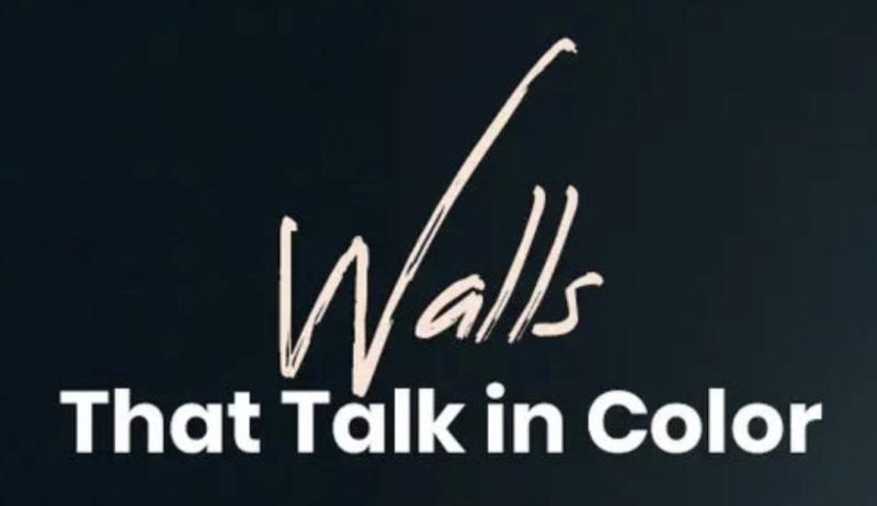 Shahnoor.pk Goes Live: Pakistan's Store for Premium Wall Decor and Wall Clocks