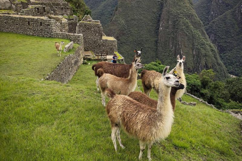 Salkantay Trek to Machu Picchu; A premium blend of adventure, comfort, culture