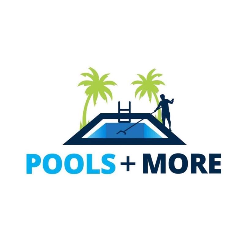 Pools Plus More Emerges as the Go-To Destination for Frog Spa Products, Replacement Cartridges, and BioGuard Pool Chemicals