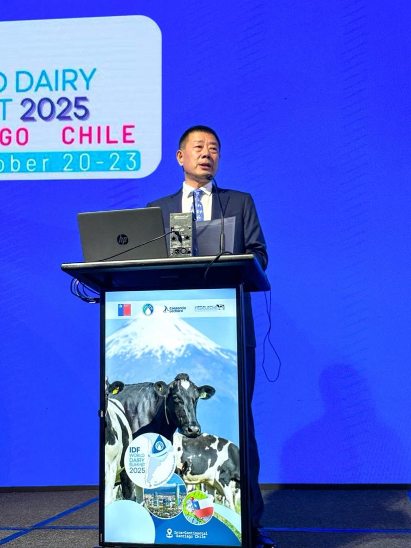 From Huawei and BYD to Feihe: Symbiosis as Chinese Wisdom in Forging Global Competitiveness