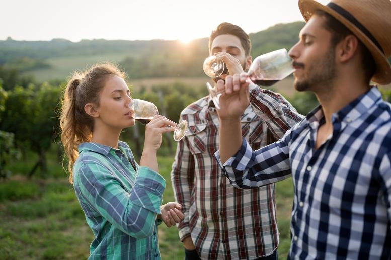 The Margaret River Experience WA Raises the Bar with New Luxury Wine Tours