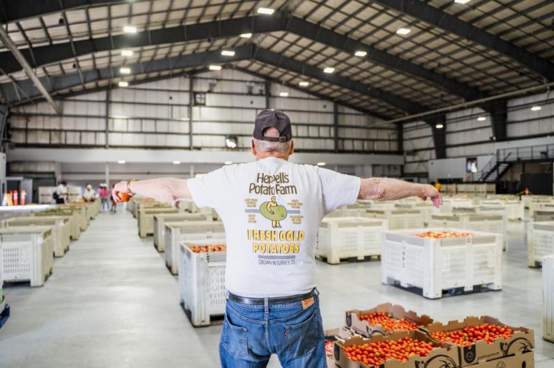 Fighting food Waste in Canada: How Ten Servings Merch Turns Ugly Produce into Meals