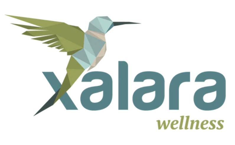Wearable Wellness Evolution: Xalara Patches Merge Frequency Technology With Holistic Principles for Stress-Free Health Support