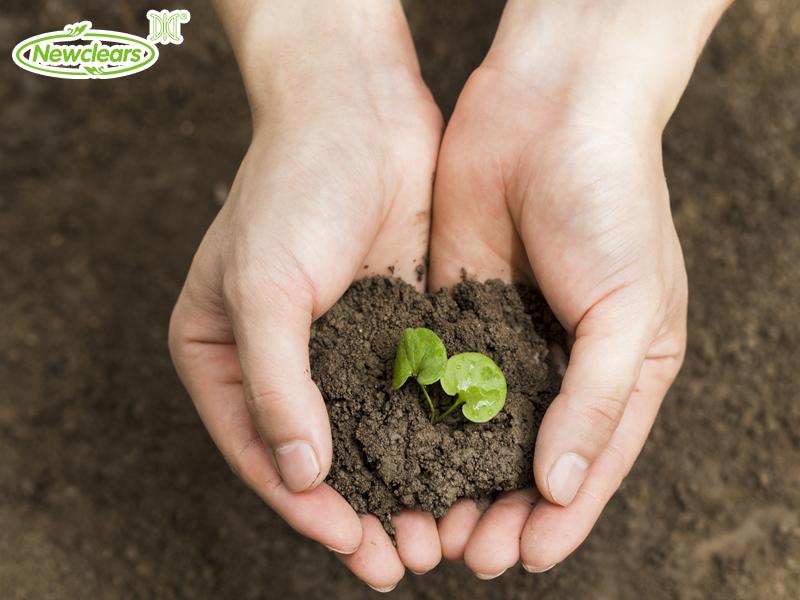 Packaging Innovations How Diaper Makers Are Reducing Waste