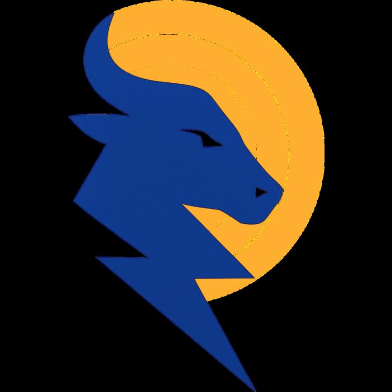 Plug-and-Play Solar for New Homes by Solar Panels Birmingham