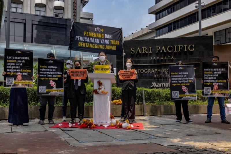 Cage-Free Countdown: Sinergia Animal Exposes Marriott Falling Behind on 2025 Commitment