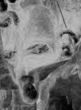 Cropped, upside down section from Leonardo da Vinci's painting "Virgin of the Rocks" in black and white.