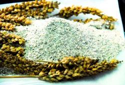 Nuchia's New 100% Chia Seed Flour Targets Development of Nutritionally Dense Foods