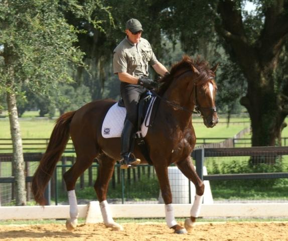 Wolfgang Kutting Dressage Training at Whispering Dream Farm in Ocala, Florida