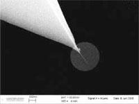 NANOSENSORS Single/Double Wall Carbon Nanotube SPM probe