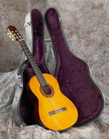 Karura Guitar Case