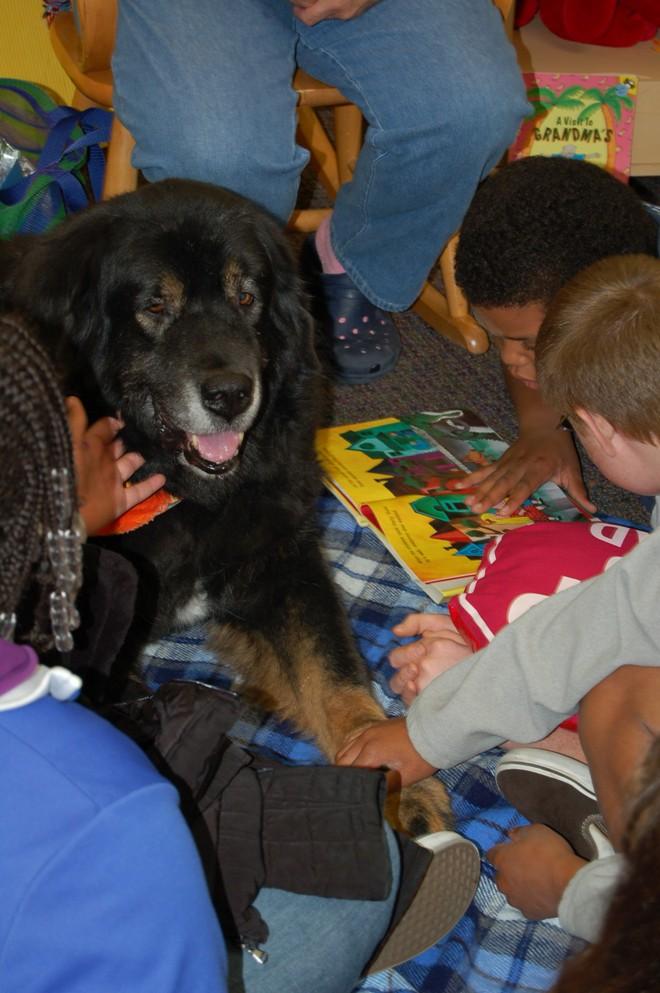 Pasadena Humane Society's Bark & Books Therapy Dog Yogi listens to the children at Hillsides read to him and offers support