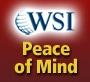 WSI Franchise: Proclaims an important Area Representative for Franchisees in Florida, USA