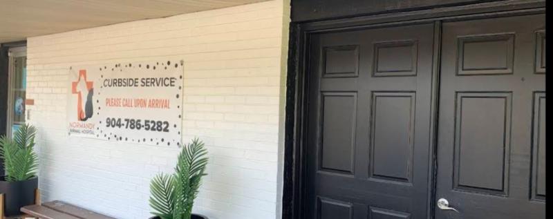 veterinarian - Normandy Animal Hospital