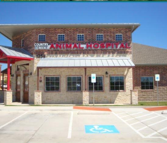 veterinarian - Country Creek Animal Hospital