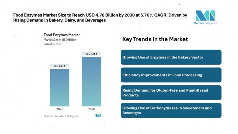 Food Enzymes Market Size & Trends | Mordor Intelligence